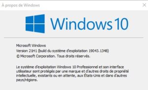 Windows 10 - winver version de windows 02